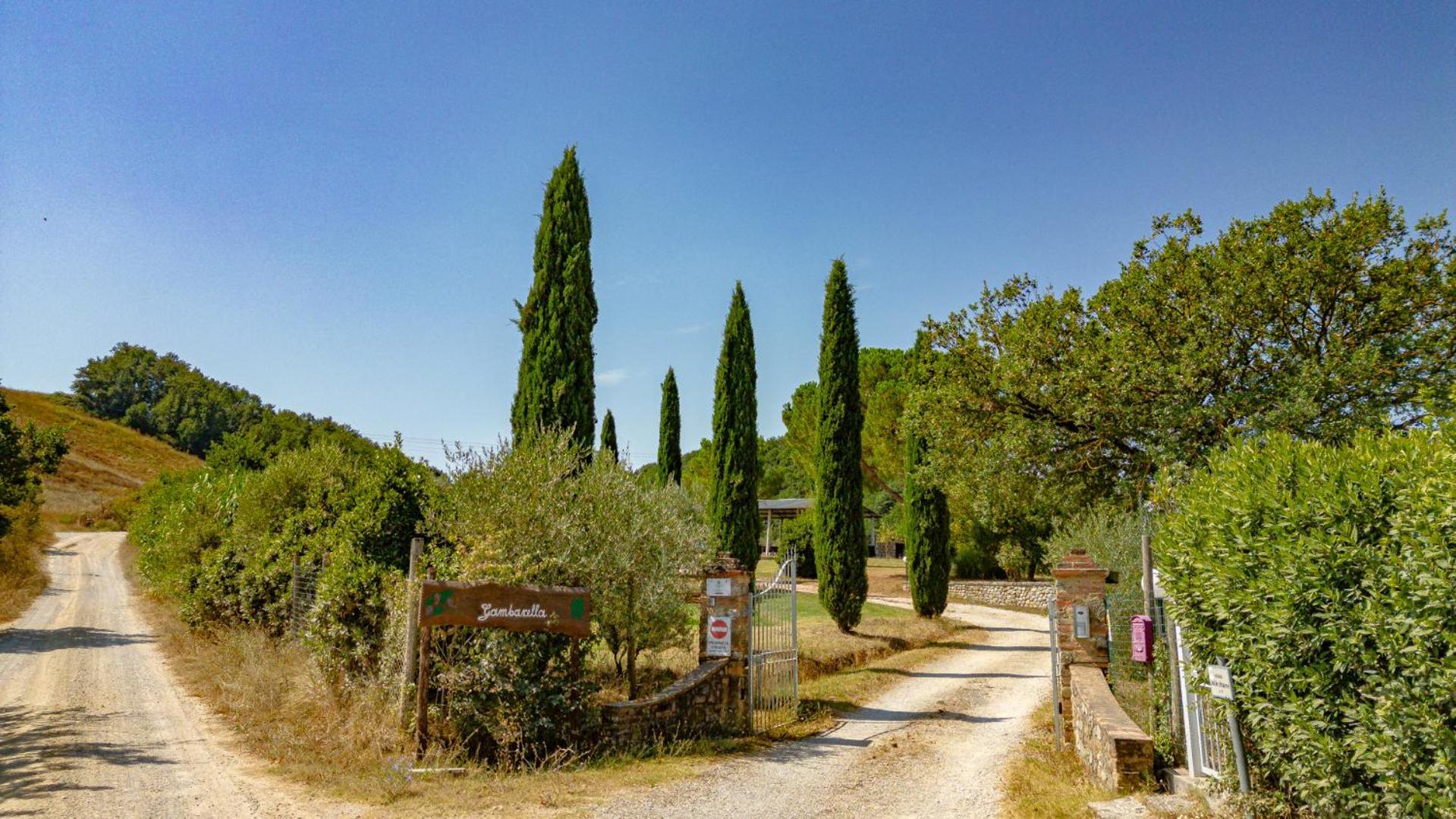 Ulivo-Chianti Charming Flat With Private Parking! Apartment Asciano Exterior photo